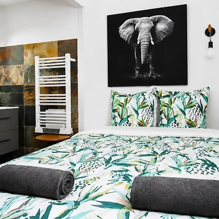 Elegant T2 Avec Balcon, Parking Et Climatisation Apartment Saint-Raphael (Var)